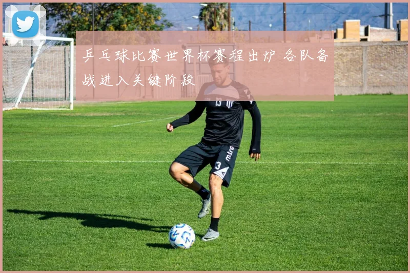 乒乓球比赛世界杯赛程出炉 各队备战进入关键阶段