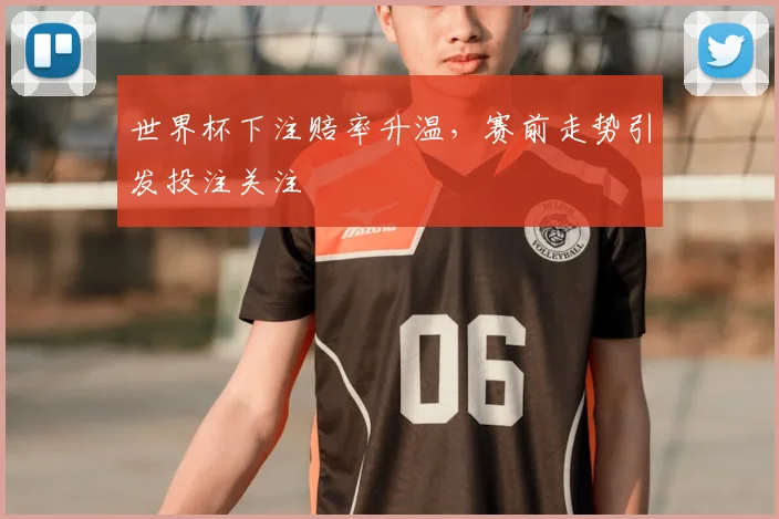 世界杯下注赔率升温,赛前走势引发投注关注