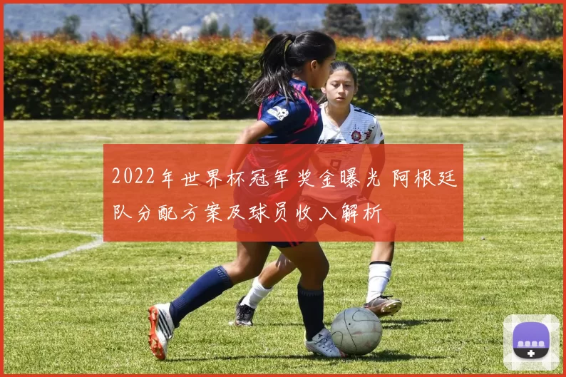 2022年世界杯冠军奖金曝光 阿根廷队分配方案及球员收入解析