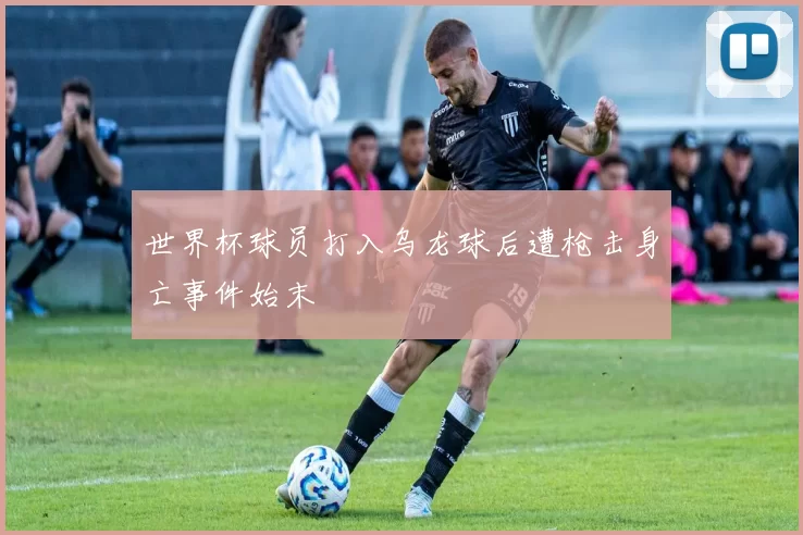世界杯球员打入乌龙球后遭枪击身亡事件始末